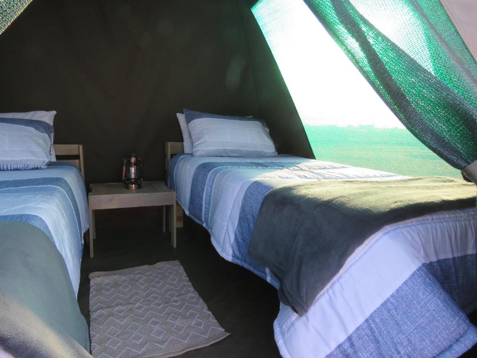 Tropic Of Capricorn Guest Farm Hotell Rehoboth Rom bilde