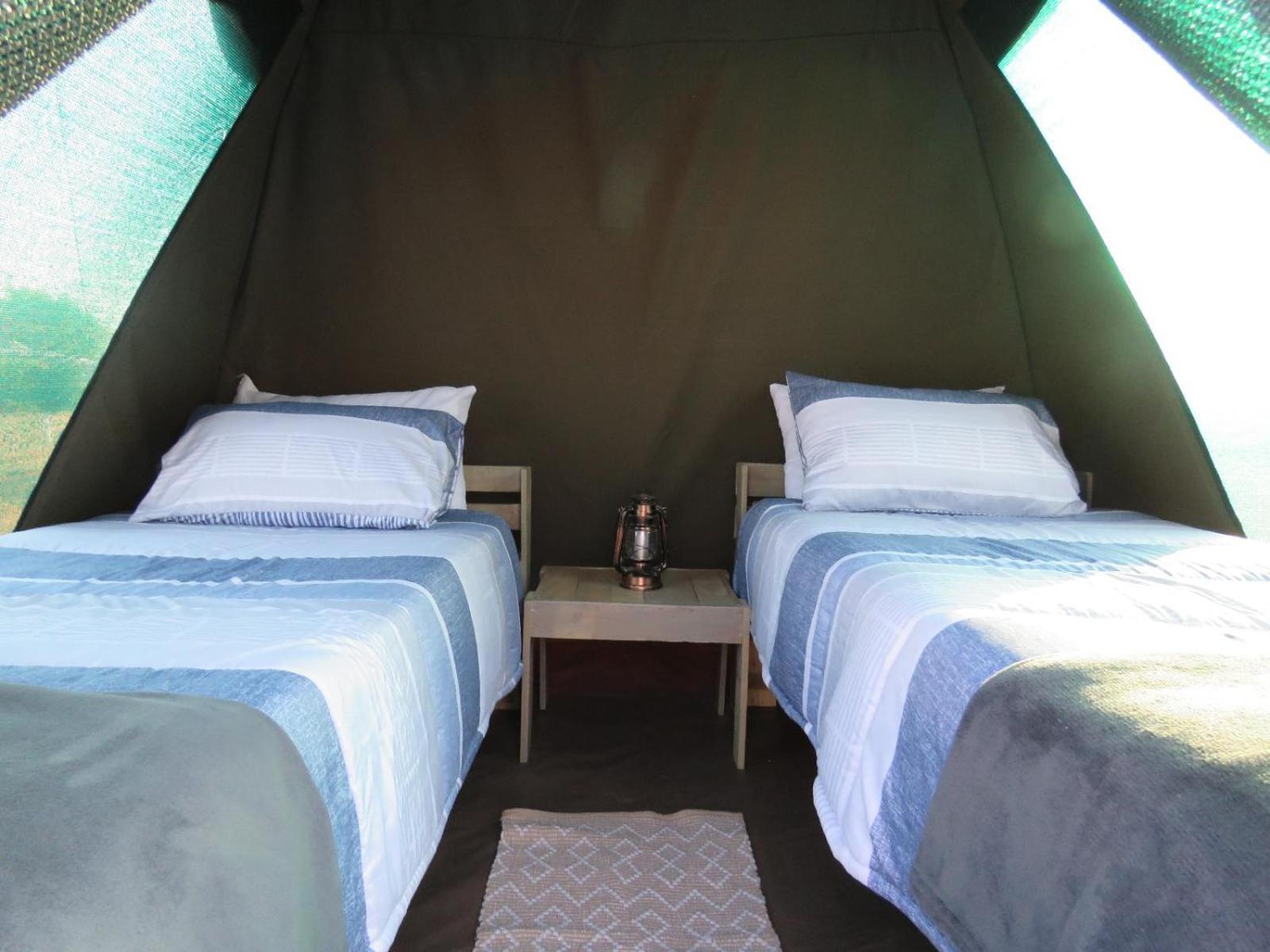 Tropic Of Capricorn Guest Farm Hotell Rehoboth Rom bilde